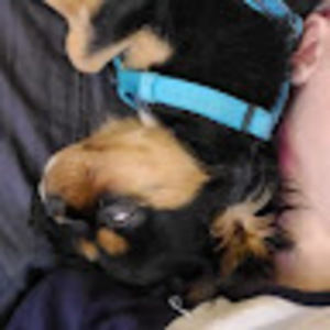 Meet your Posher, Ava